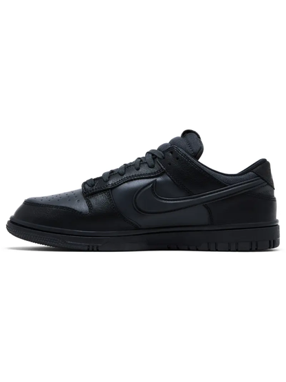 Men's Nike Dunk Low GTX Sneakers, Black, HQ2053 001