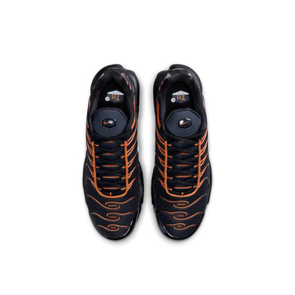 Nike Air Max Plus TN 'Dark Obsidian Monarch' (2024)